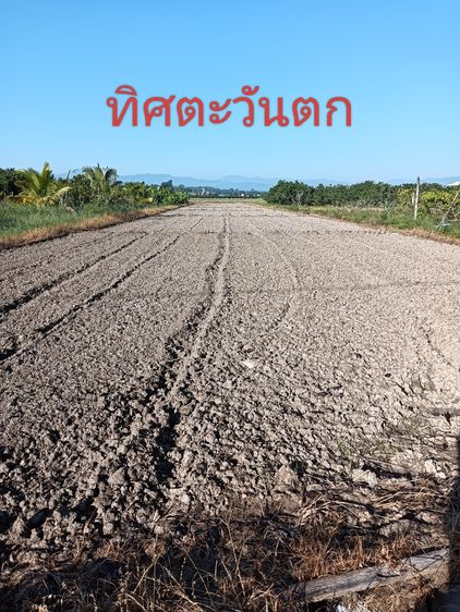 ขายที่ดินเปล่า รูปที่ 2