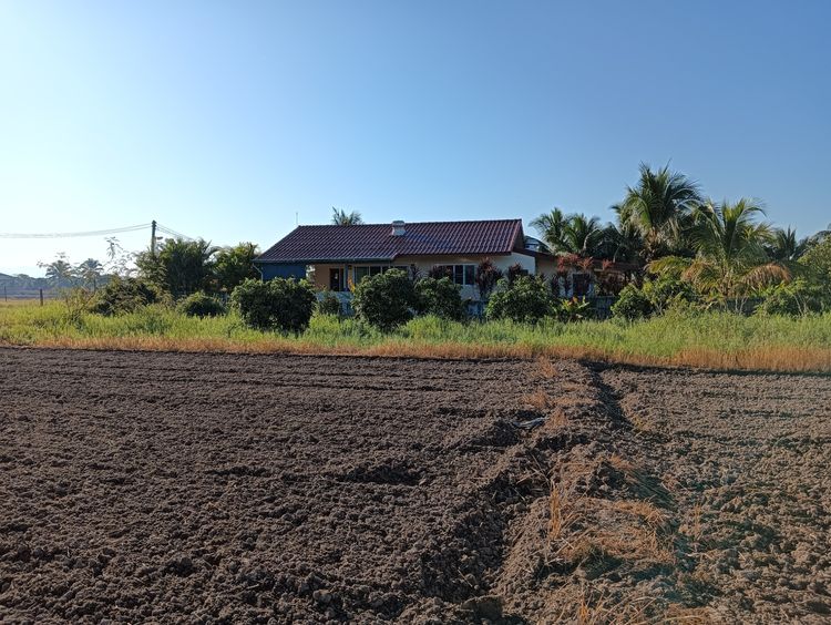 ขายที่ดินเปล่า รูปที่ 3