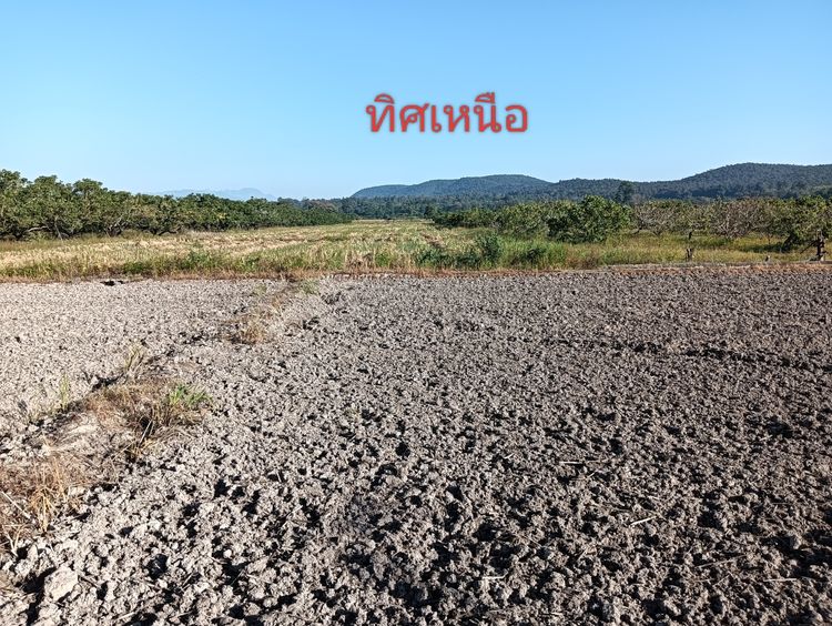 ขายที่ดินเปล่า รูปที่ 4