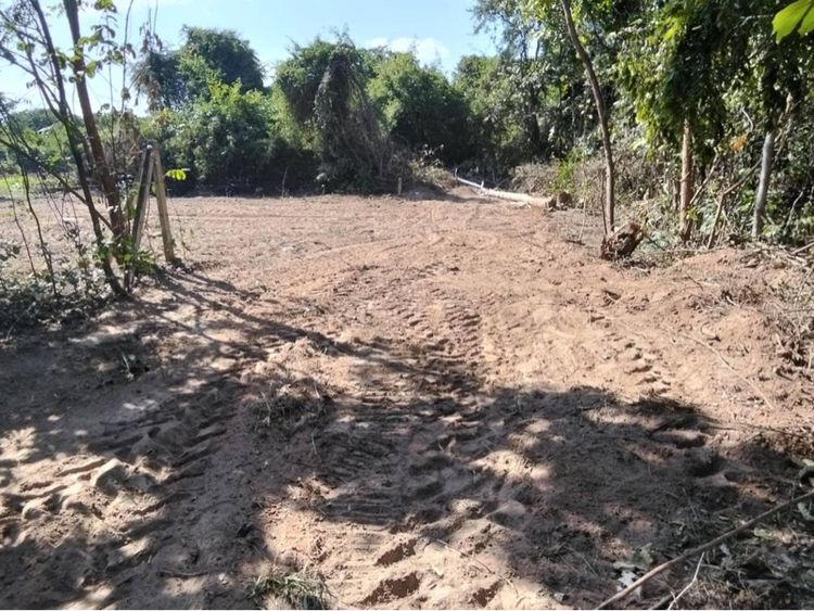 ที่ดิน จ.นครราชสีมา