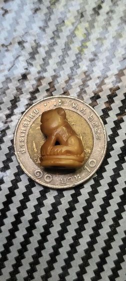 เสือมีจาร รูปที่ 3