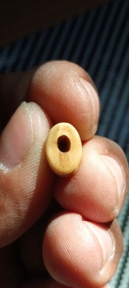 เสือมีจาร รูปที่ 2