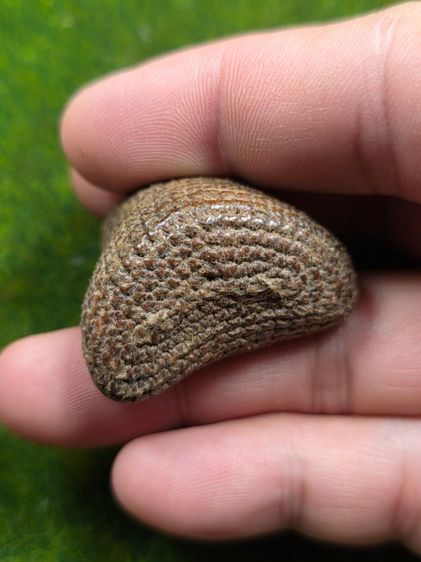 พระปิดตาเก่า ไม่ทราบที่ รูปที่ 3