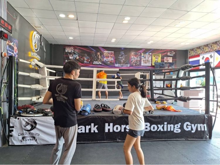 เวทีมวยไทยมวยสากล รูปที่ 4