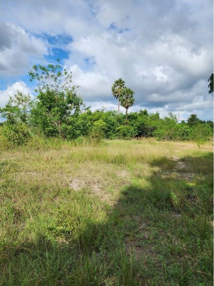 ใช่ ที่ดินสวย สระแก้ว อรัญ รูปที่ 2