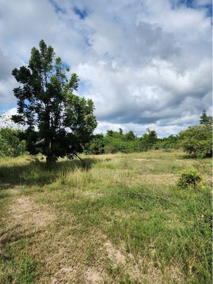 ใช่ ที่ดินสวย สระแก้ว อรัญ