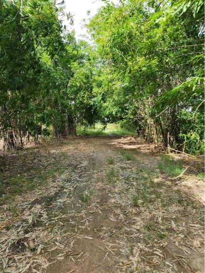 ใช่ ที่ดินสวย สระแก้ว อรัญ รูปที่ 3