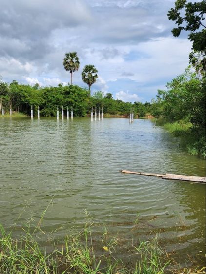 ใช่ ที่ดินสวย สระแก้ว อรัญ รูปที่ 4