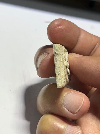 สมเด็จเนื้อขาวอมเหลือง รูปที่ 4