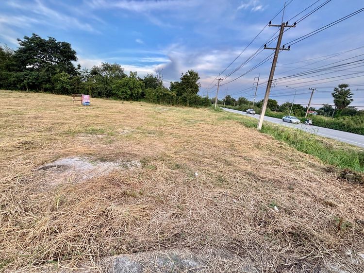 ที่ดินหนองเบน หลายแปลง รูปที่ 2