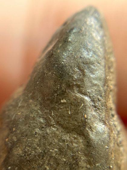 หลวงพ่อจุก เนื้อดิน รูปที่ 12