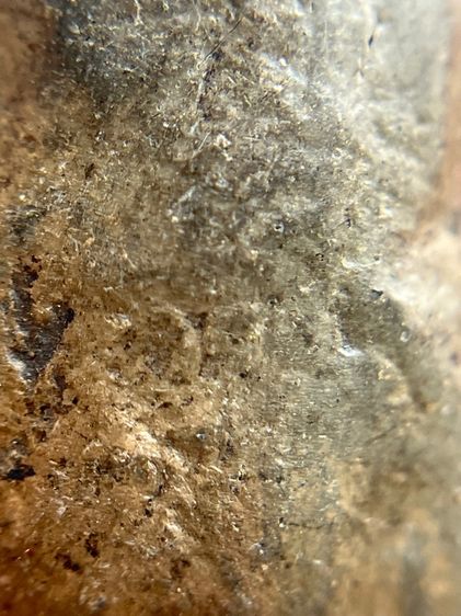 หลวงพ่อจุก เนื้อดิน รูปที่ 13