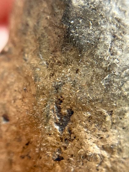 หลวงพ่อจุก เนื้อดิน รูปที่ 9