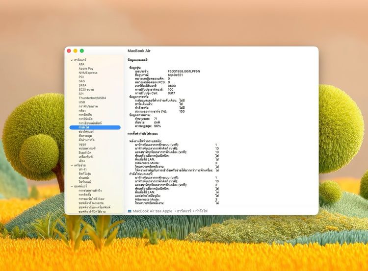 MacBook Air 15-inch M2 2023 Ram8GB SSD256GB Starlight  รูปที่ 13