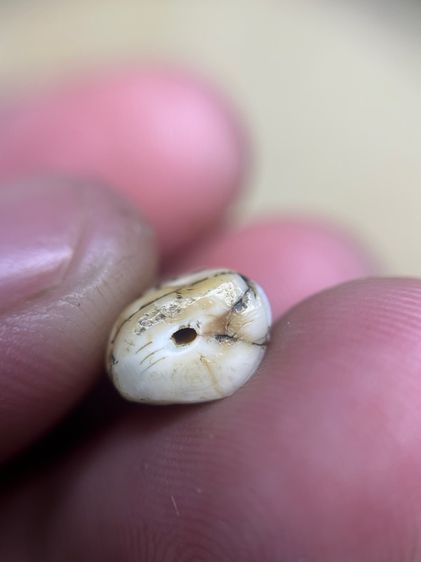 เปิดครับ (มีสินค้าหลายรายการกดเข้ามาดูในโปรไฟล์ได้เลยครับ) รูปที่ 5