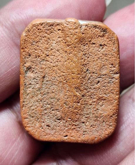 พ่อปานขี่ไก่หางพวง รูปที่ 2