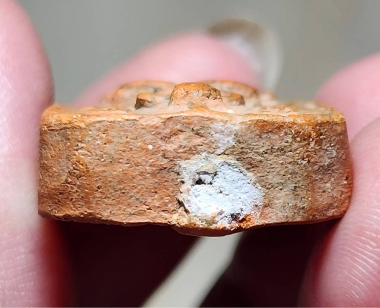 พ่อปานขี่ไก่หางพวง รูปที่ 3