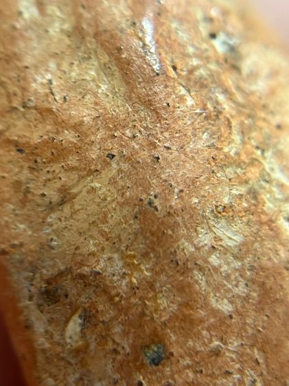 พระกำแพงเปิดโลก เม็ดทองหลาง รูปที่ 9