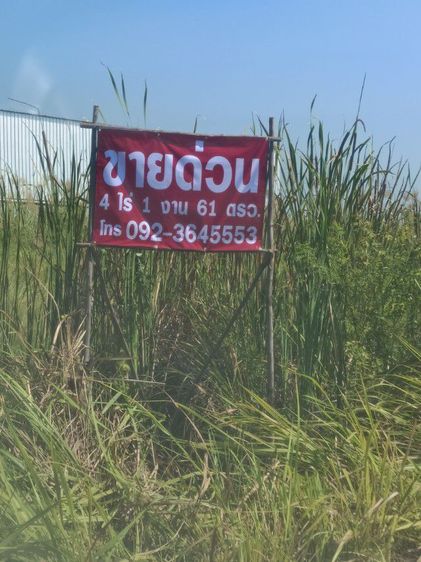ใช่ ขายที่ดินคลอง10 ที่ดินติดถนนระหว่างธัญบุรี-ลำลูกกา พื้นที่ 4ไร่ 1 งาน 61 ตารางวา รูปที่ 4
