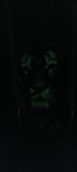 เสื้อกล้ามลายเสือสีดำ พ่อปิดไฟเมื่อสามารถสะท้อนแสงเป็นรูปเสือได้ รูปที่ 7