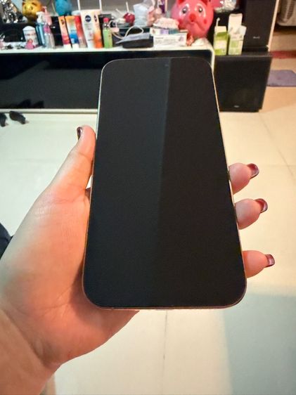ไอโฟน16promax(256gb)