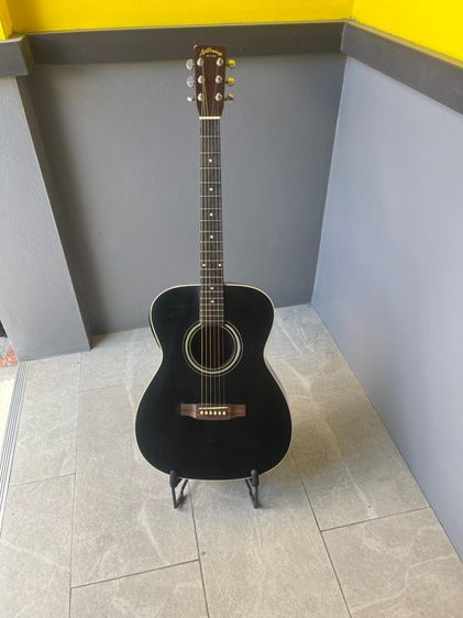ขายโปร่งไฟฟ้า Aria Dreadnought 