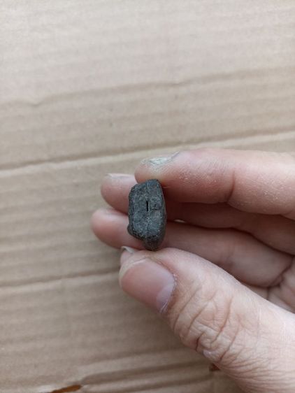 หลวงปู่ทวดเนื้อว่าน รูปที่ 12