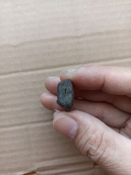 หลวงปู่ทวดเนื้อว่าน รูปที่ 11