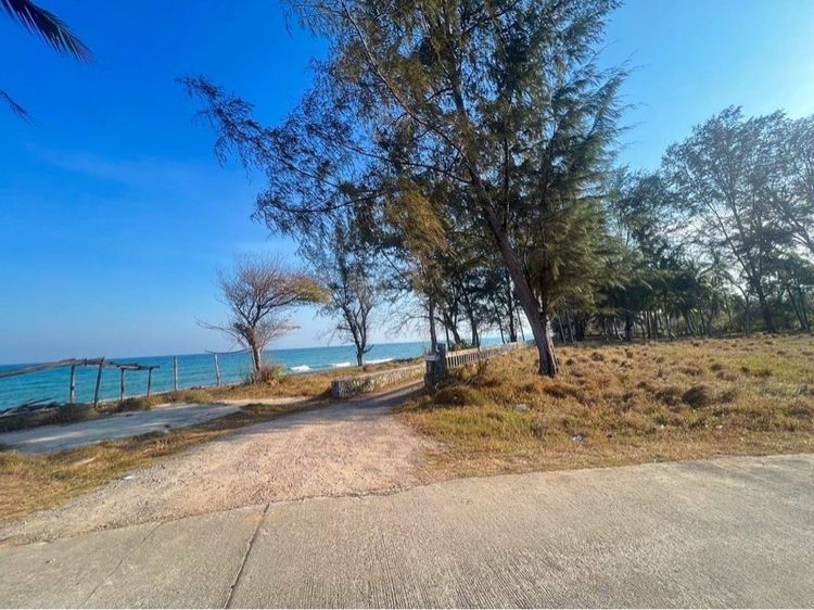 ขายที่ดินติดทะเล รูปที่ 4