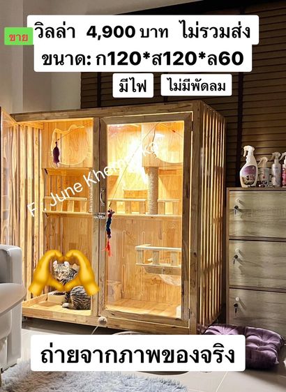 วิลล่าแมว