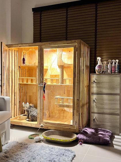 วิลล่าแมว รูปที่ 2