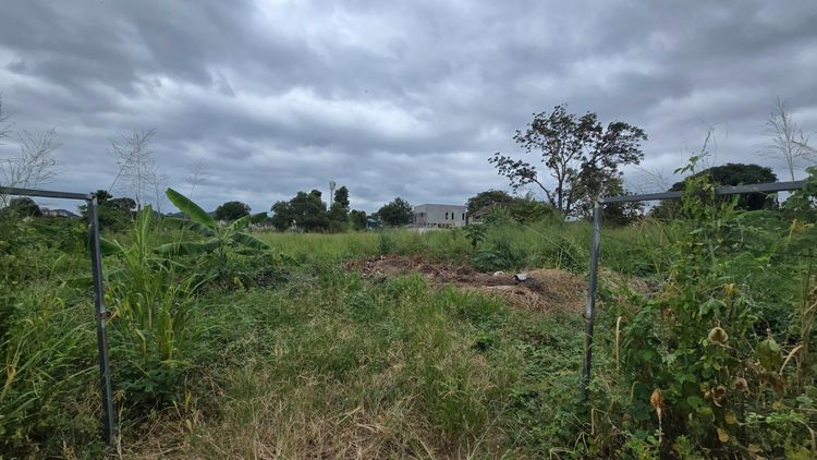 ขายที่ดินศรีราชา ชลบุรี ผังสีส้ม ใจกลางชุมชน เจ้าของขายเอง เหมาะพัฒนาโครงการทาวน์โฮม-คอนโด Low-rise