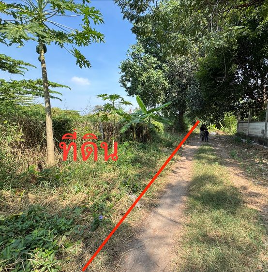 ขายที่ดินเปล่า ถ.พระราม2ซอย25 ใกล้รพ.บางกอก9 รพ.บางมด เซ็นทรัลพระราม2 บิ๊กซี ทางด่วน รูปที่ 2