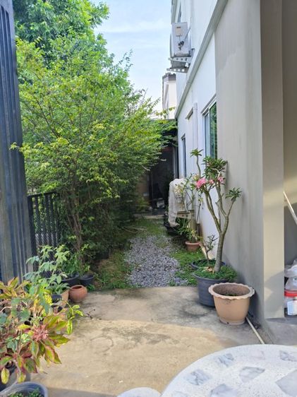 Pruksa 2019 มีบางส่วน ไม่ใช่ ขายบ้านทาวน์เฮ้าส์2ชั้น รูปที่ 3