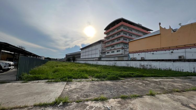 ที่ดินสีม่วง รูปที่ 3