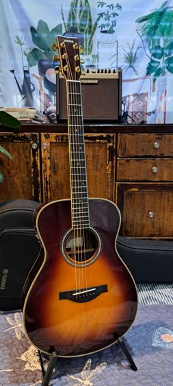 YAMAHA LS-TA AllSolid  รูปที่ 3