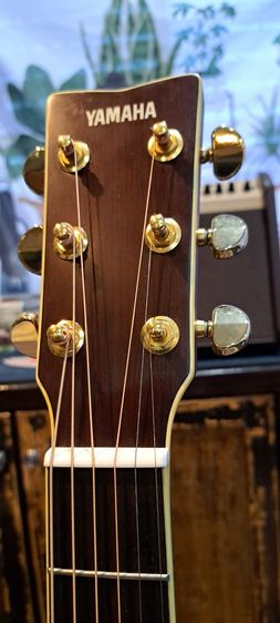 YAMAHA LS-TA AllSolid  รูปที่ 7