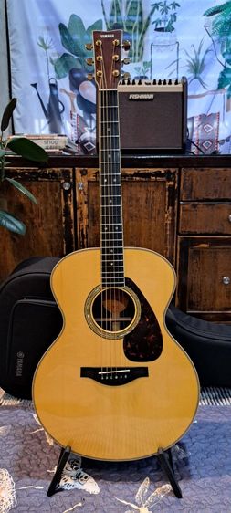 YAMAHA LJ16 A.R.E AllSolid Medium Jumbo Body  รูปที่ 7