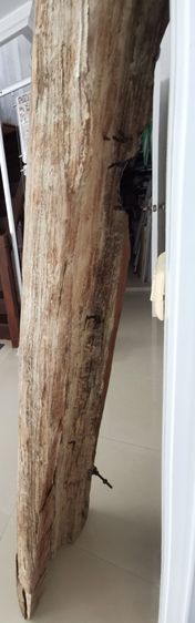 ท่อนไม้สัก แกะสลักลายม้าวิ่ง  รูปที่ 6