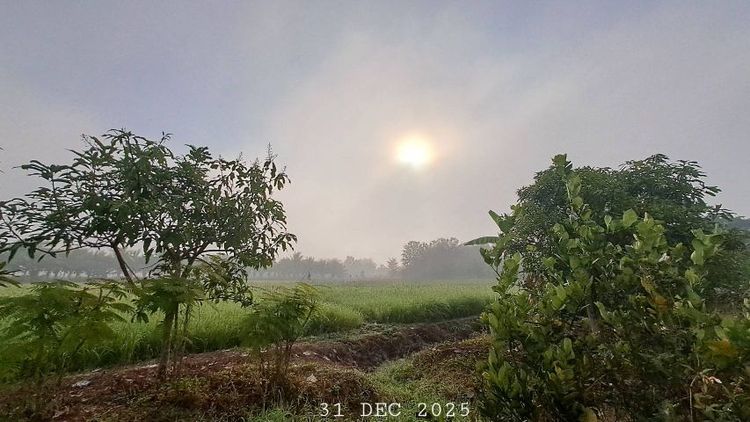 เจ้าของขายเอง ขายถูกมากสวนผสมมีโฉนด 2 ไร่ครึ่งขายยกแปลงเพียง 650,000 บาทรวมโอน