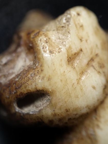 ❌ปิดครับ❌สวยเข้มขลังคลาสสิคครับ รูปที่ 8