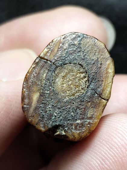 ❌ปิดครับ❌สวยเข้มขลังคลาสสิคครับ รูปที่ 5