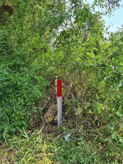 ขายที่ดิน 1 ไร่  รูปที่ 3