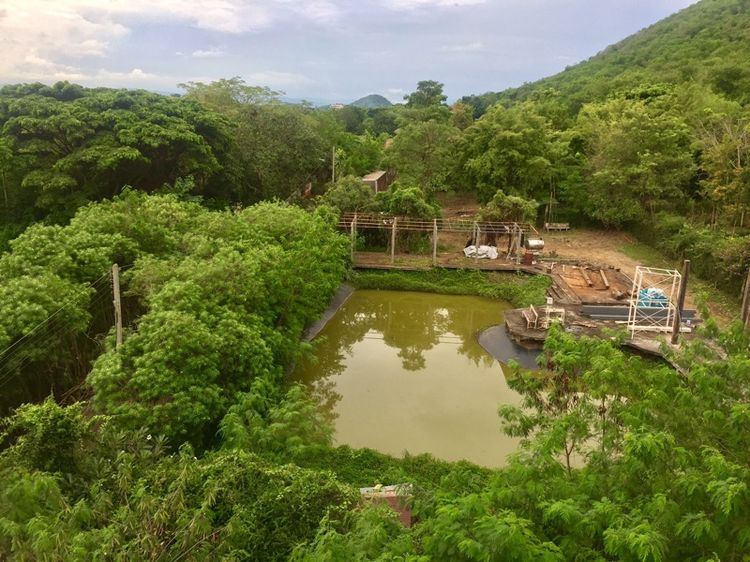 ที่ดินแค้มไซท์