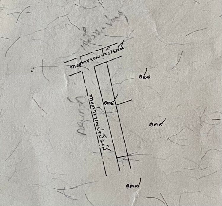 ขายที่ดิน ติดถนน เทศบาล บ่อตรุ ระโนด จ.สงขลา รูปที่ 3