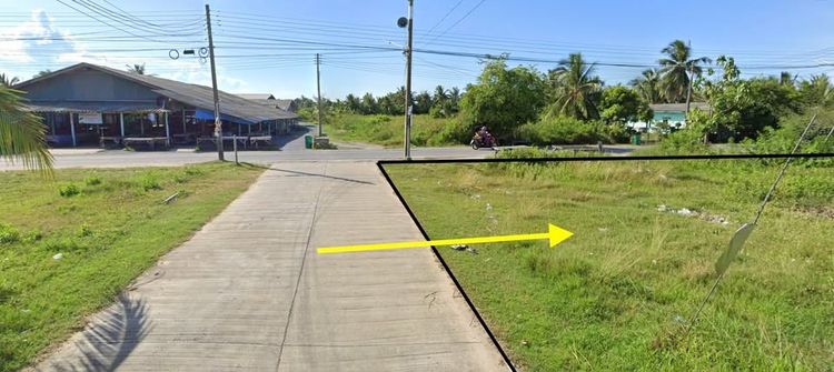 ขายที่ดิน ติดถนน เทศบาล บ่อตรุ ระโนด จ.สงขลา