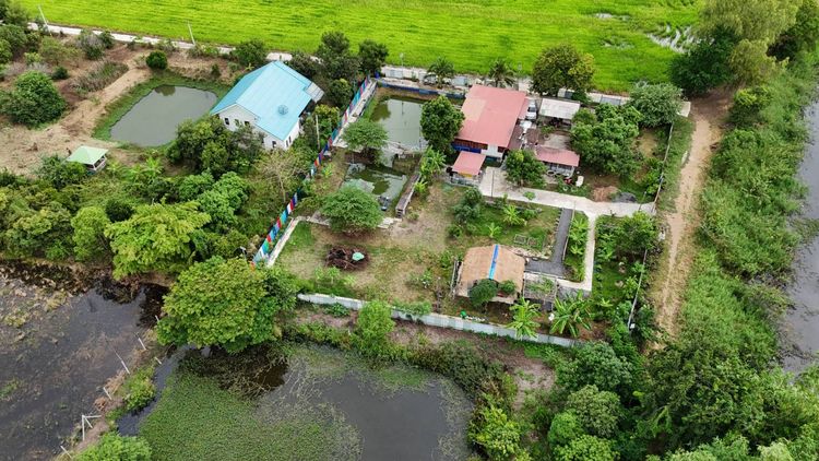 มีบางส่วน บ้านสวนพร้อมพืชผลพร้อมเก็บเกี่ยว รูปที่ 2