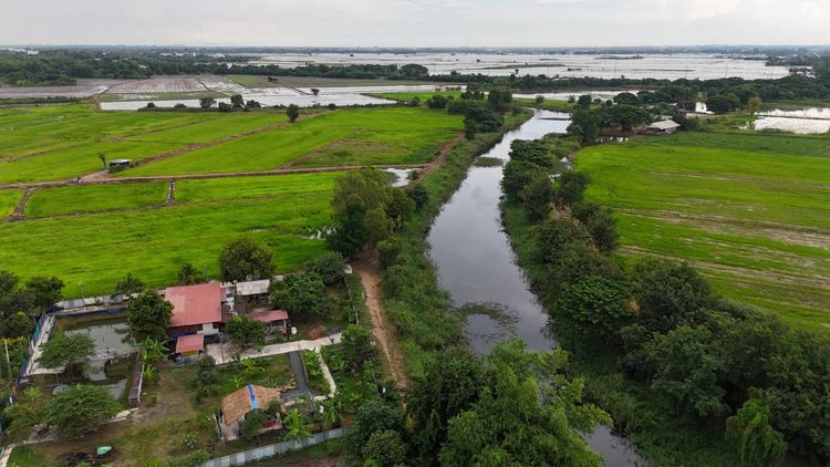 มีบางส่วน บ้านสวนพร้อมพืชผลพร้อมเก็บเกี่ยว รูปที่ 3