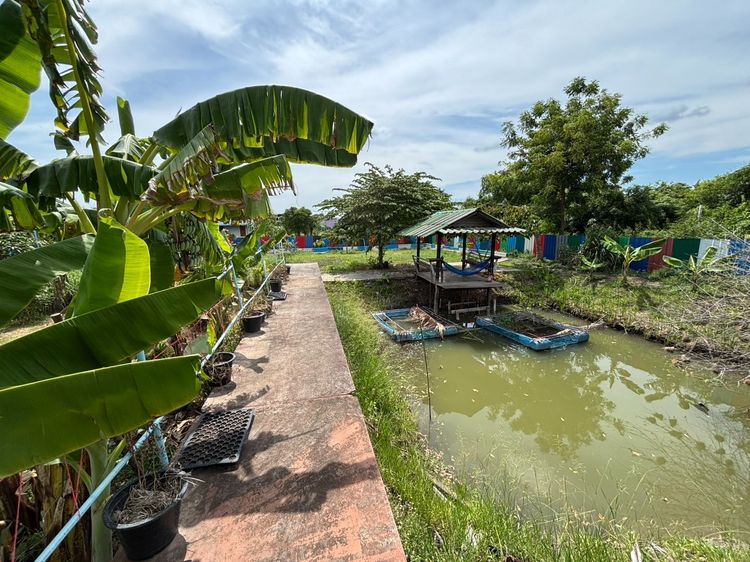 มีบางส่วน บ้านสวนพร้อมพืชผลพร้อมเก็บเกี่ยว รูปที่ 4