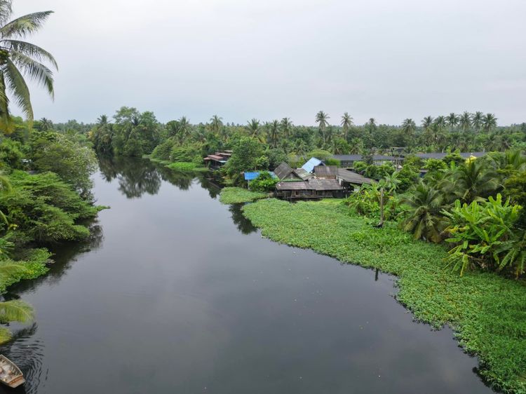 ขายที่ดินพร้อมสิ่งปลูกสร้างเกือบ2ไร่(795ตรว.) ติดคลองจินดา รูปที่ 2
